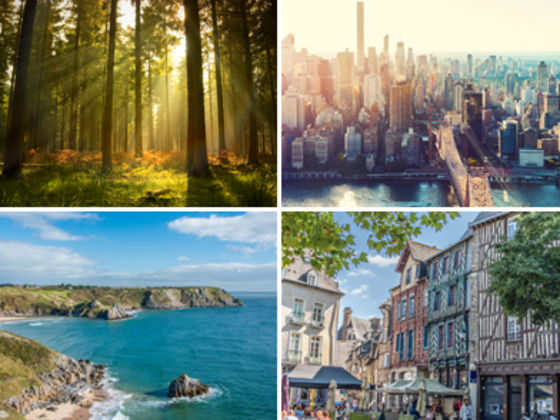 Where should I live?