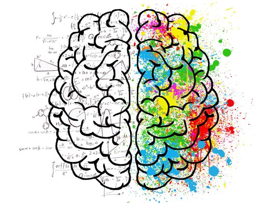 Is Your Brain Ruled by Logic or Emotion?
