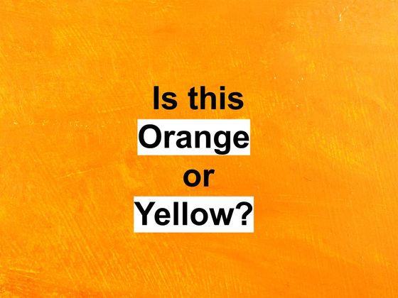 This Color Test Will Determine What Type Of Intelligence You Have
