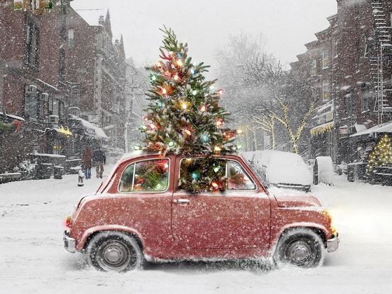 What Should You Do Before Christmas?