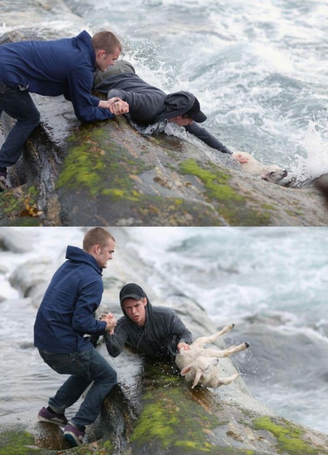 Փրկություն խեղդվող գառնուկին