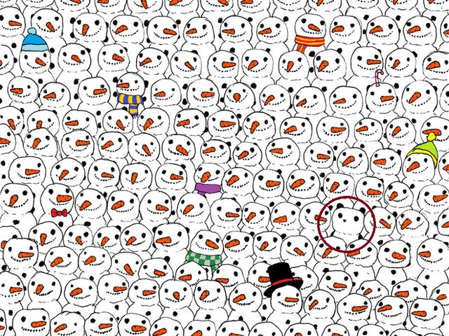 can you find the hidden panda