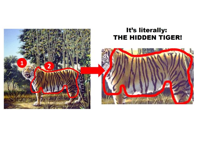 There Are Two Tigers In This Picture Can You Spot The Second One Playbuzz 