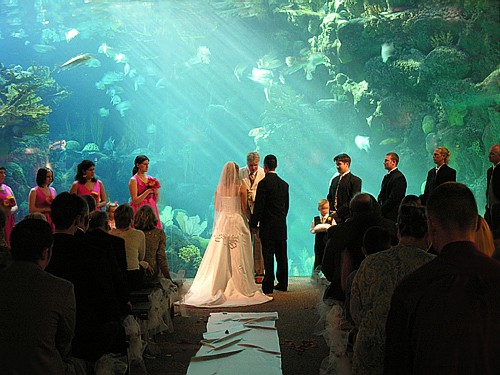Which Unique Wedding Venue Would You Pull Off Playbuzz