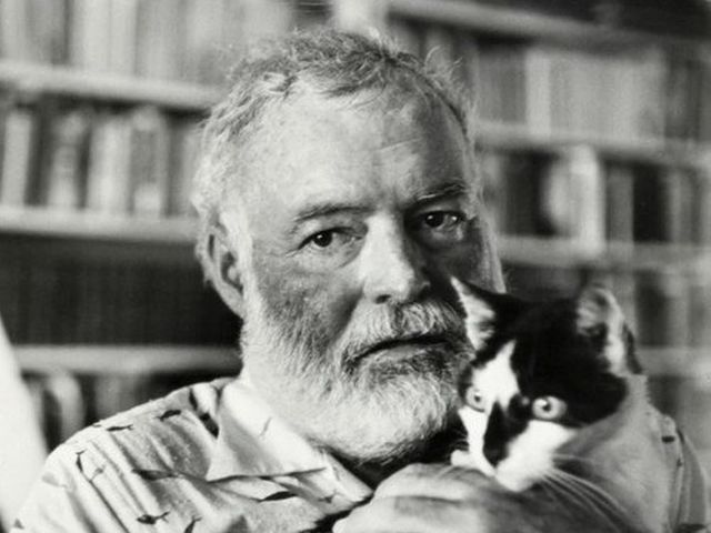 do you actually remember the most iconic american authors?