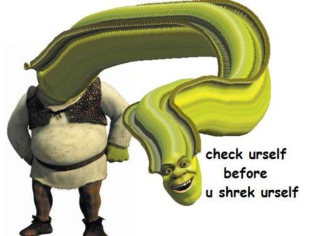 Shrek Somebody Once Told Me Lyrics