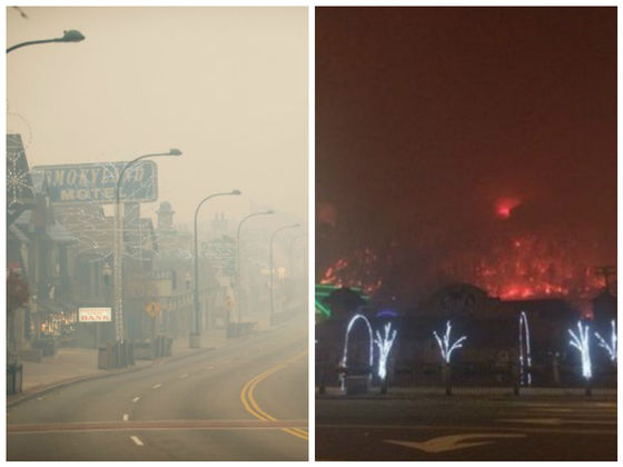 Wildfires In Gatlinburg, Tennessee Have Forced Thousands To Flee And Left Many Animals In Danger