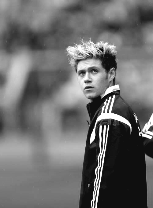 Resultado de imagem para niall horan tumblr