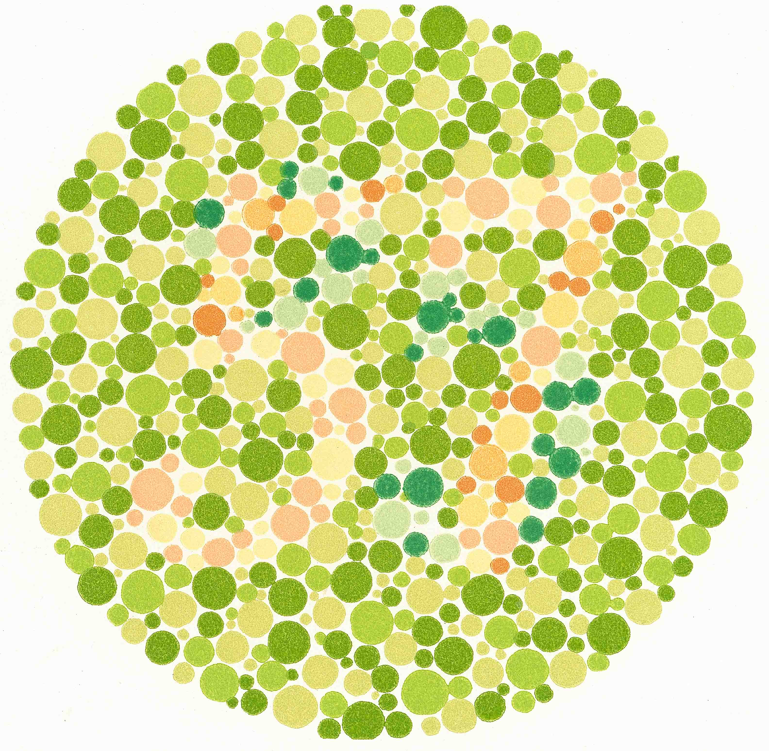 Do You Have Perfect Colour Vision Do You Have Perfect Colour Vision