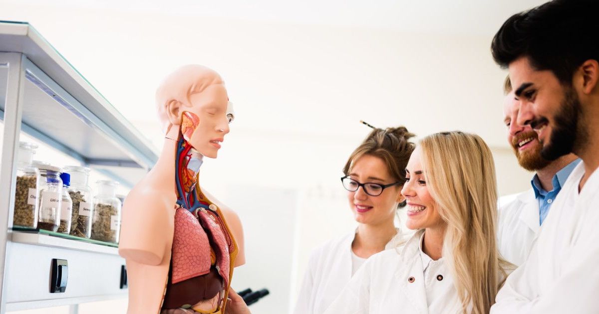 How good is your basic medical knowledge playbuzz