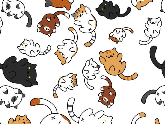 Political Names For Cats Political Names For Cats