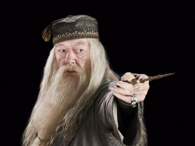 Como Se Llama El Director De Harry Potter