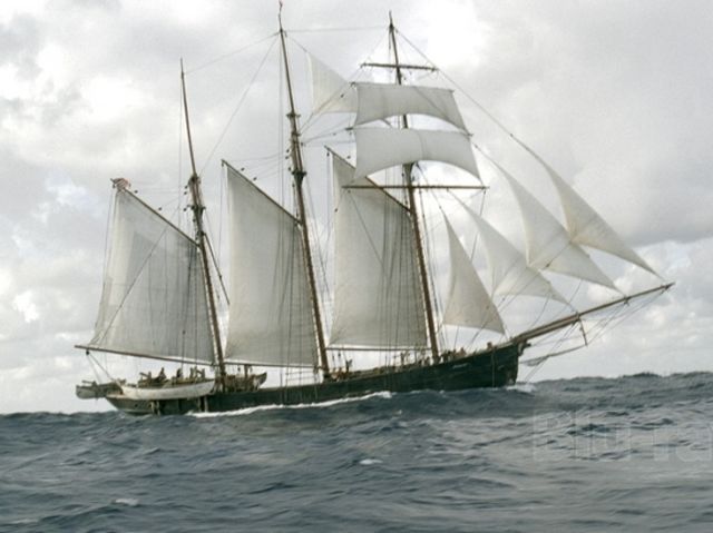 How Well do you Know Moby Dick | Playbuzz