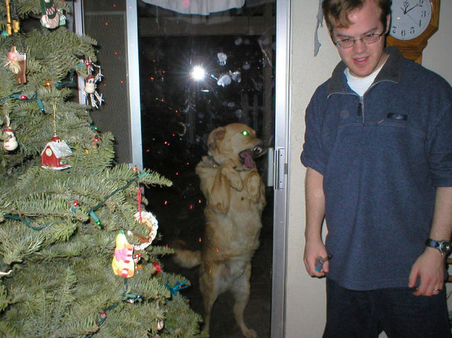 ¡Déjame entrar, humano! 