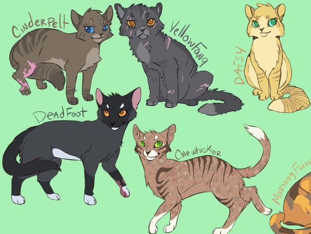 Which Warrior Cat Clan Do You Belong In? | Playbuzz