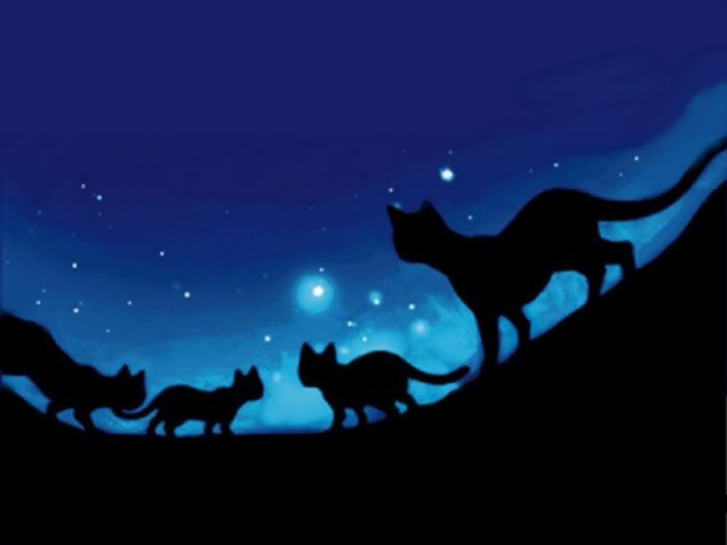 what warrior cats clan are you in