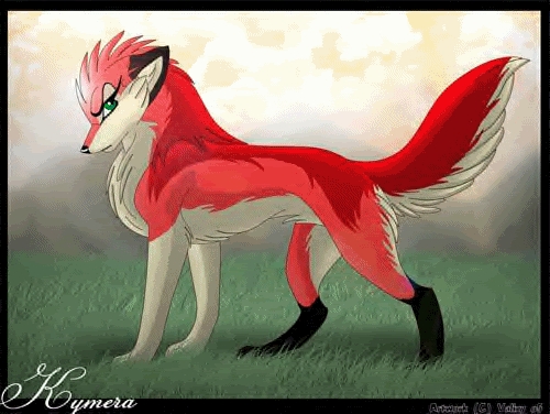 whitch anime wolf are